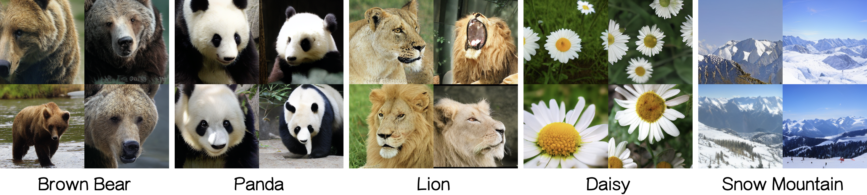 Class-conditional ImageNet samples