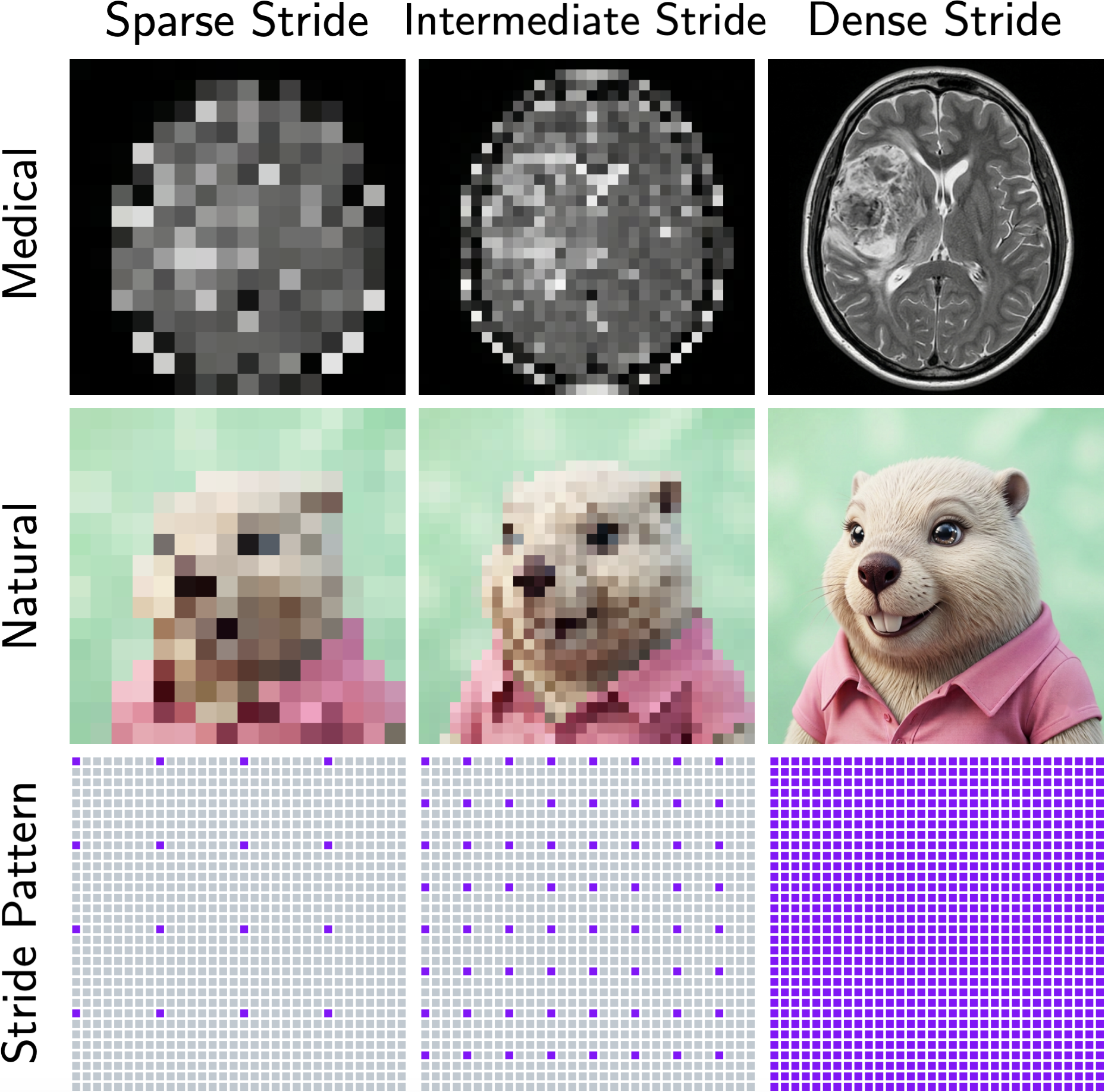 Coarse-to-fine generation via progressively denser strides