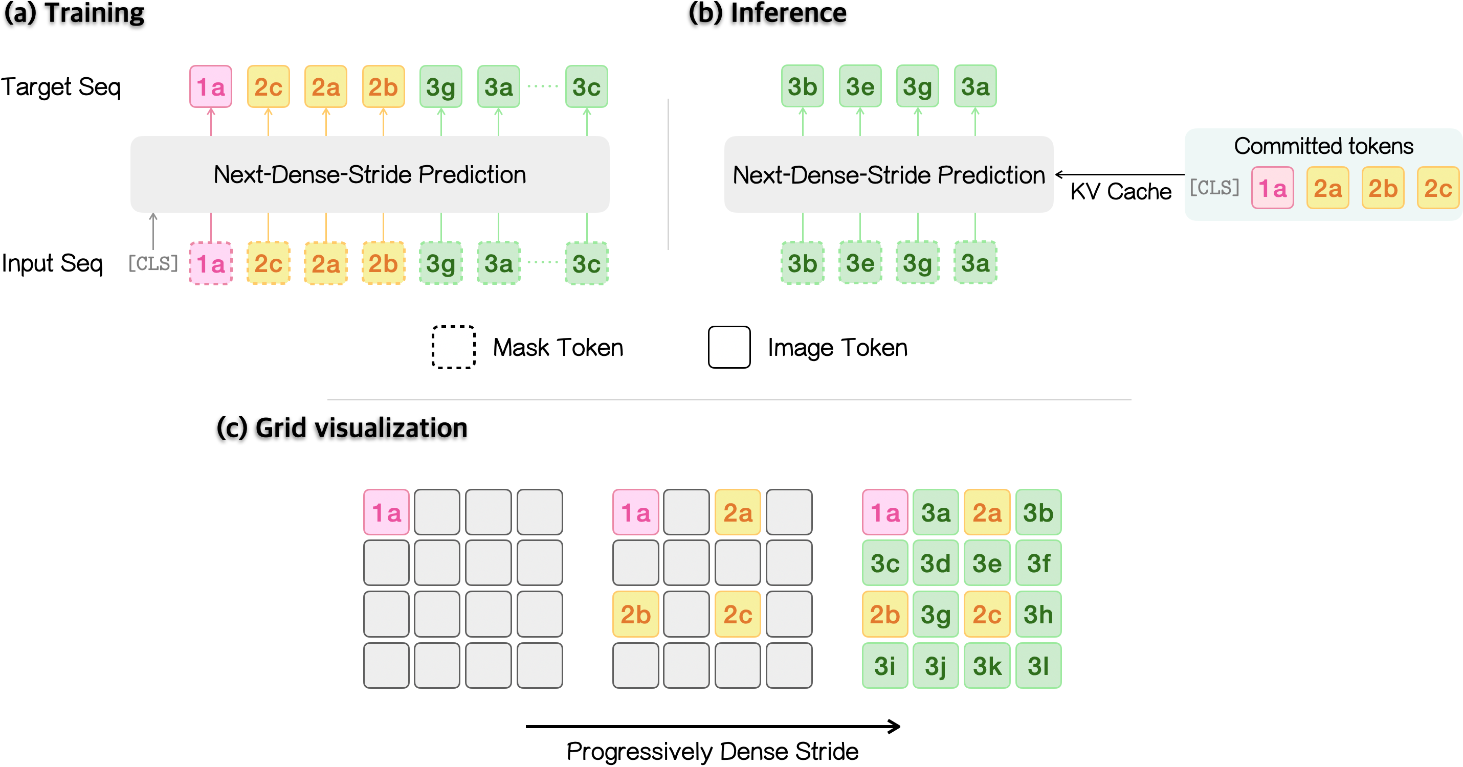 Next-dense-stride prediction: training, inference, and grid visualization